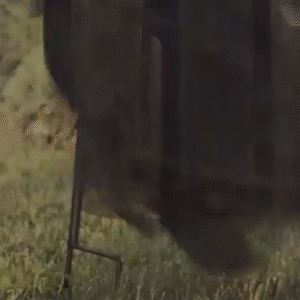 170cm Halloween Light-Up Witches Ghost Halloween Decoration Horror Props Creepy Skeleton For Halloween Decoration Voice Control Suncollections