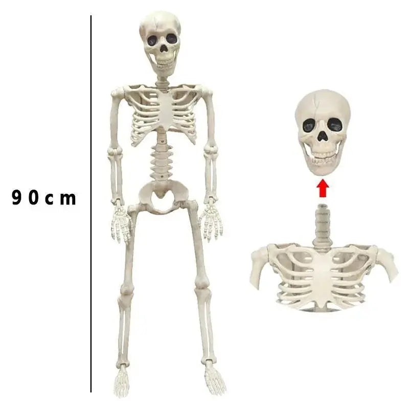 Halloween Skull Skeleton 40/90cm Posable Skeleton Human Shape Bones Halloween Party Home Decorations Haunted House Horror Props Suncollections