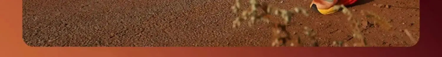 BMAI 42KM Marathon Women's Sneakers Cushioning Running Shoes for Women Breathable Black Sports Shoes Luxury Designer Trainers Suncollections