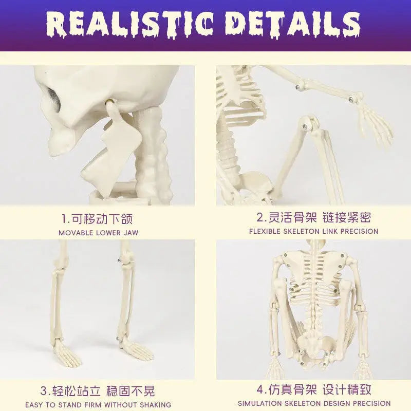 Halloween Skull Skeleton 40/90cm Posable Skeleton Human Shape Bones Halloween Party Home Decorations Haunted House Horror Props Suncollections