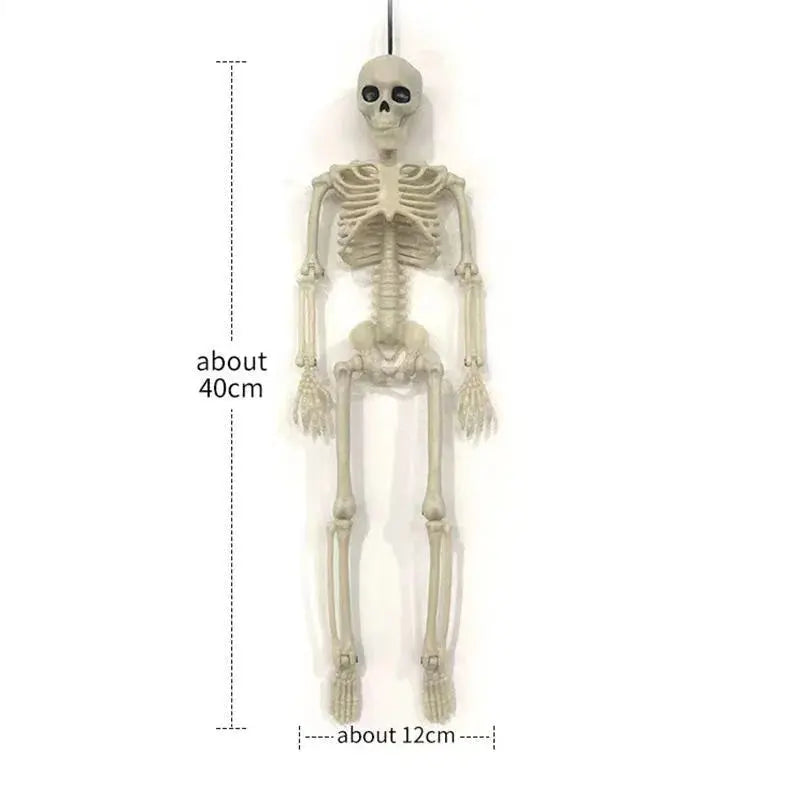 Halloween Skull Skeleton 40/90cm Posable Skeleton Human Shape Bones Halloween Party Home Decorations Haunted House Horror Props Suncollections