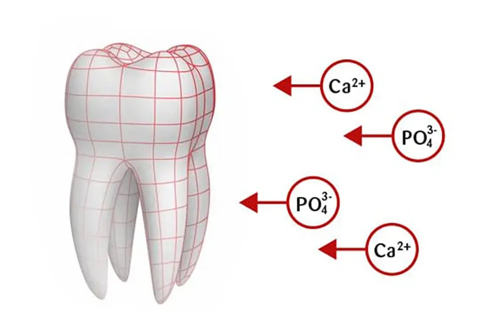 Ajona Stomaticum Concentrated Toothpaste 25ml German Natural Without Fluor No Fluoride - Suncollections