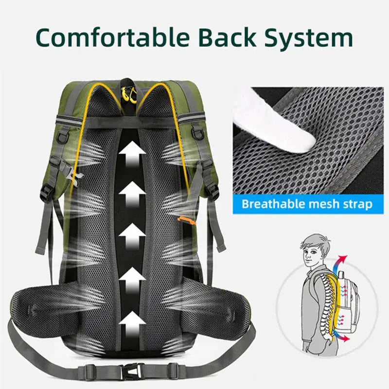 50L Travel Backpack Camping Men Large Hiking Bag Tourist Rucksack Waterproof Outdoor Sports Climbing Mountaineering Bag Luggage - Suncollections