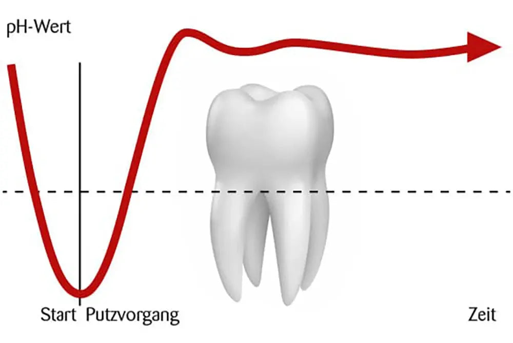 Ajona Stomaticum Concentrated Toothpaste 25ml German Natural Without Fluor No Fluoride - Suncollections